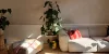 Ein Wohnzimmer mit einem Sofa und Pflanzen wird von natürlichem Licht erhellt, Nolte Living.