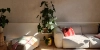 Un salon avec un canapé et des plantes éclairé par la lumière naturelle, Nolte Living.