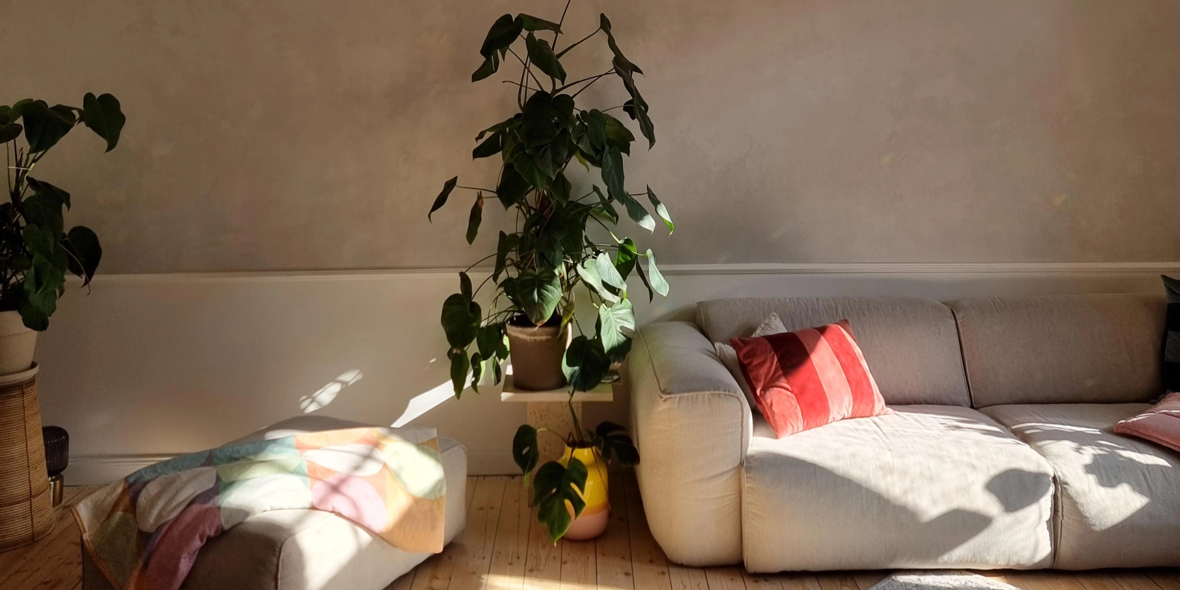 Un salon avec un canapé et des plantes éclairé par la lumière naturelle, Nolte Living.