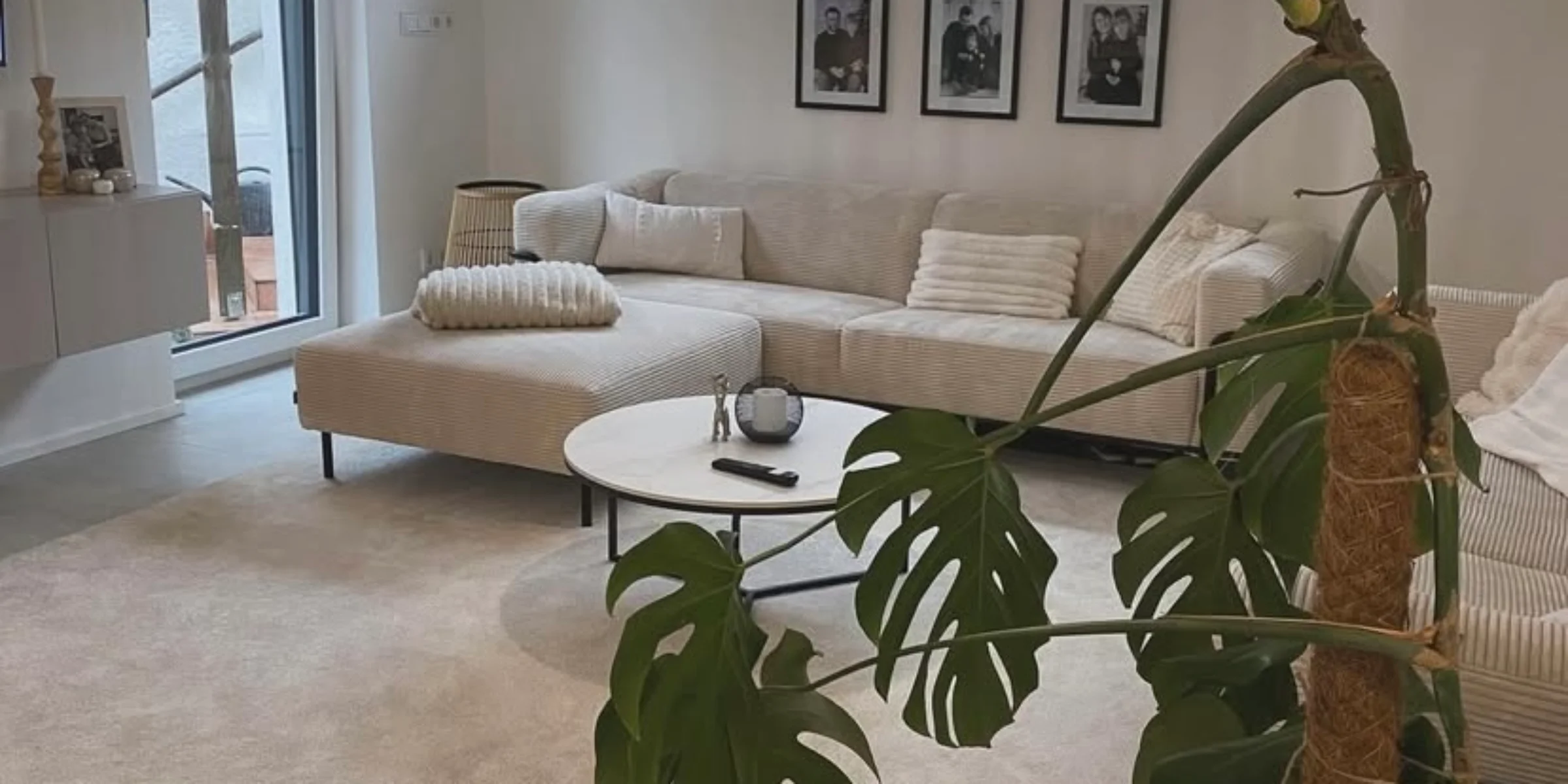 Przytulny salon z sofą i monsterą, Nolte Living.