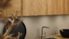 Une cuisine moderne avec des accents en bois et un évier en acier inoxydable, conçue par Nolte Kitchen.
