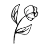 Dessin simple en noir et blanc d'une fleur avec deux feuilles sur une tige.