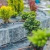 Dans un jardin, de jeunes arbustes verts avec des tuyaux d'arrosage sur une bâche noire.