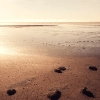 product thumbnail Nolte_Kuechen_Nische_Beach_BEA.jpg