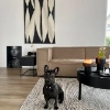 Soggiorno moderno con arredi Nolte Living e un cane nero su un tappeto.