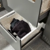 Un meuble à tiroirs ouvert avec des paniers à linge dans une buanderie Nolte.