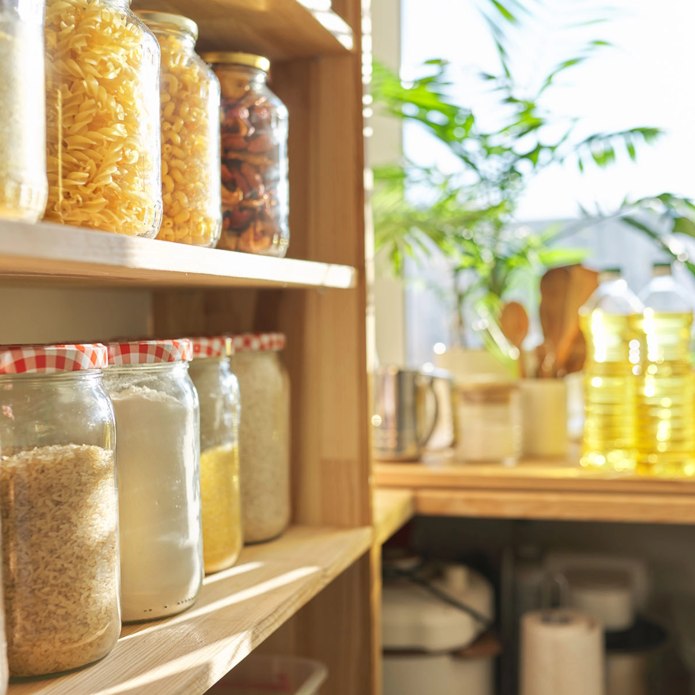 Voorraadplanken met voedsel in een zonovergoten keuken, met planten en keukengerei op de achtergrond. Nolte Kitchen.