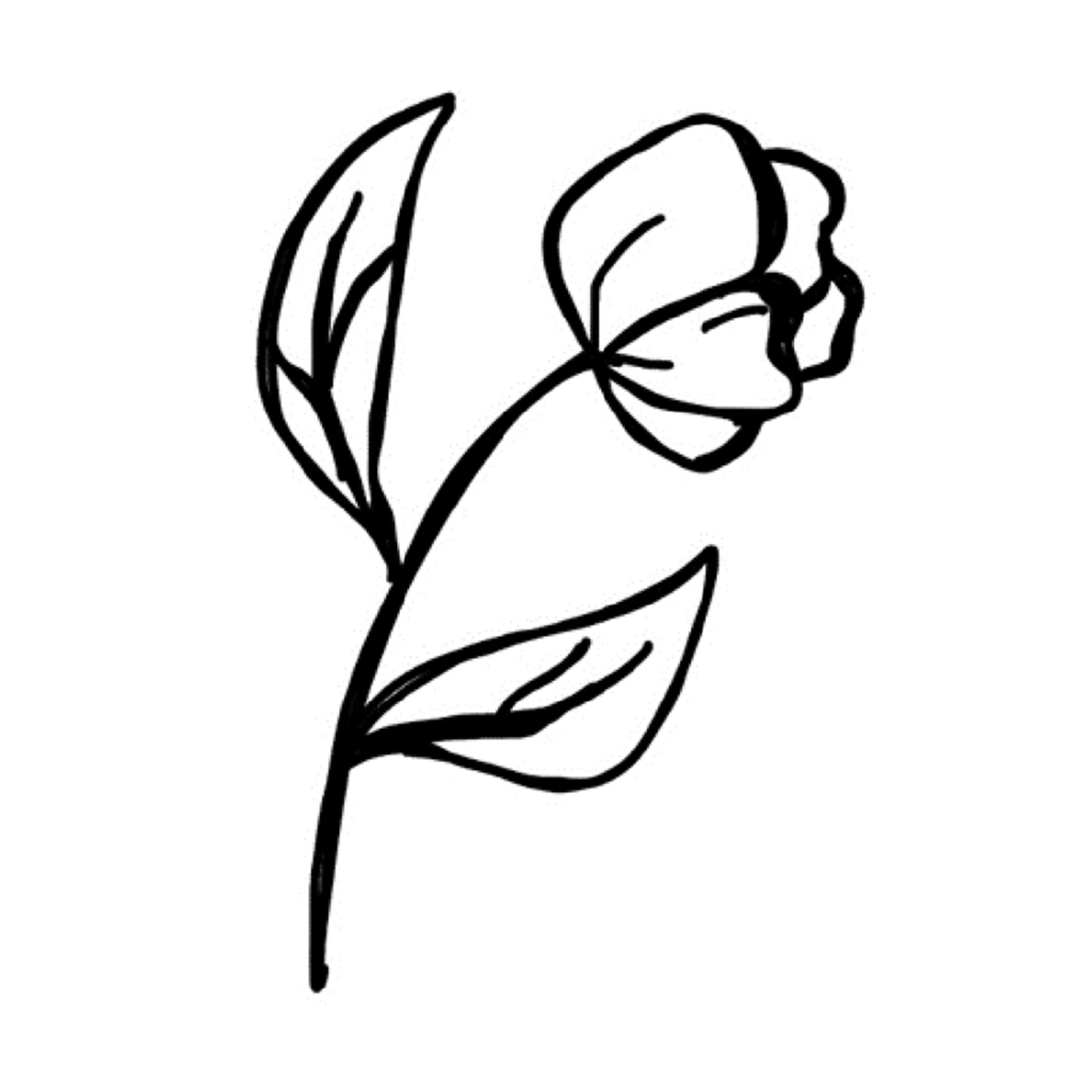 Dessin simple en noir et blanc d'une fleur avec deux feuilles sur une tige.