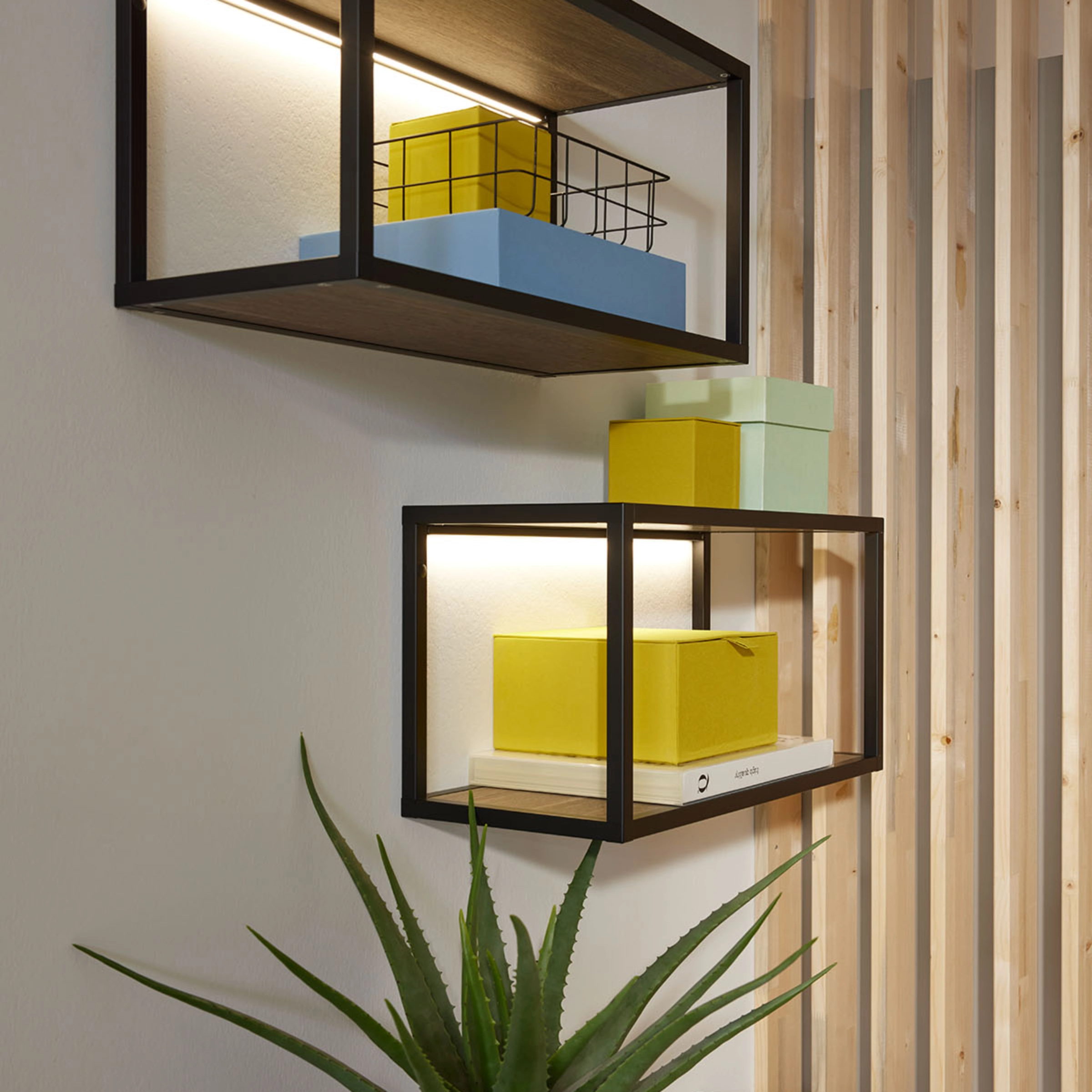 Lit shelves with decor items hang on the wall, including a cactus on a sideboard. Nolte Living.
