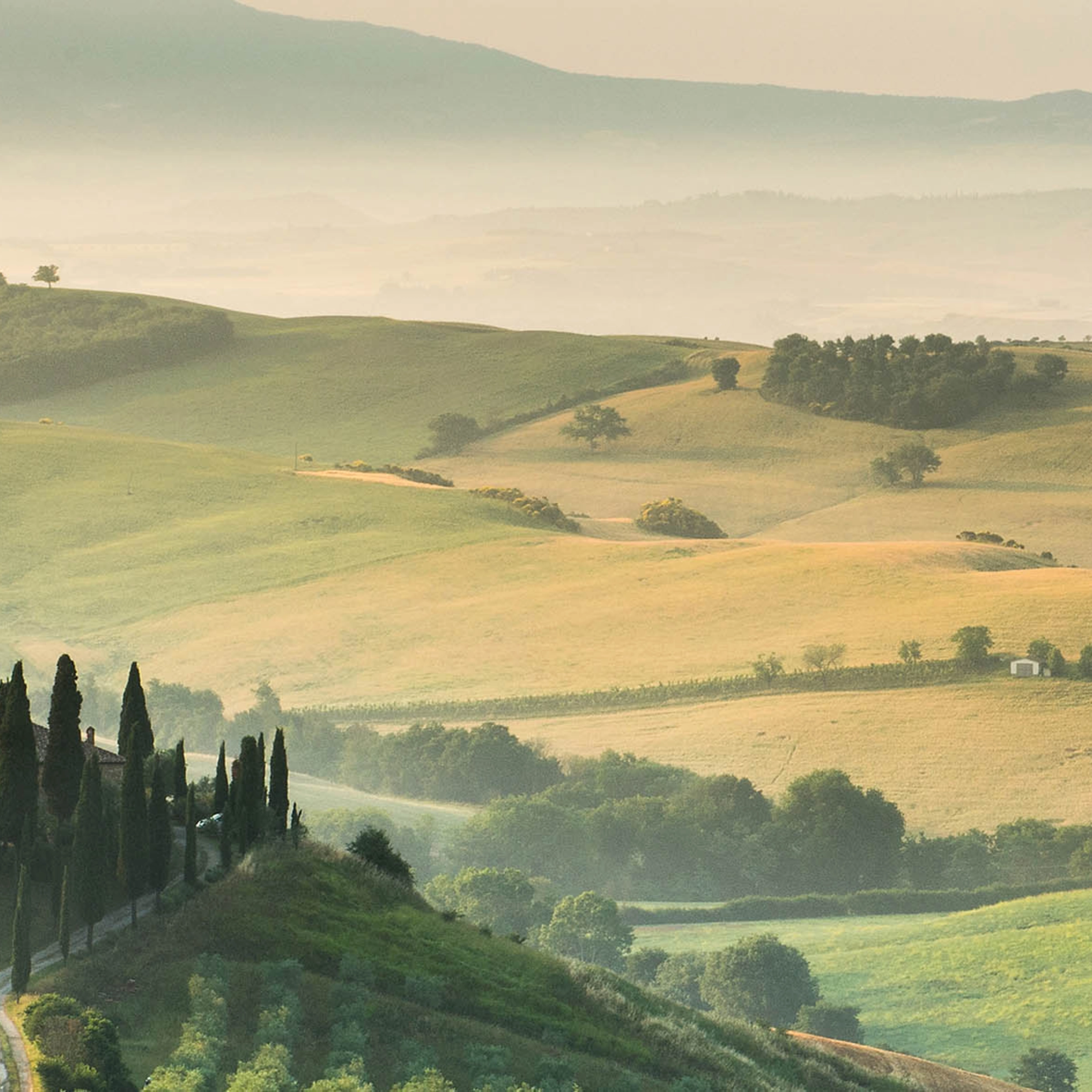 product thumbnail M32_Tuscany_Glas_klein.jpg