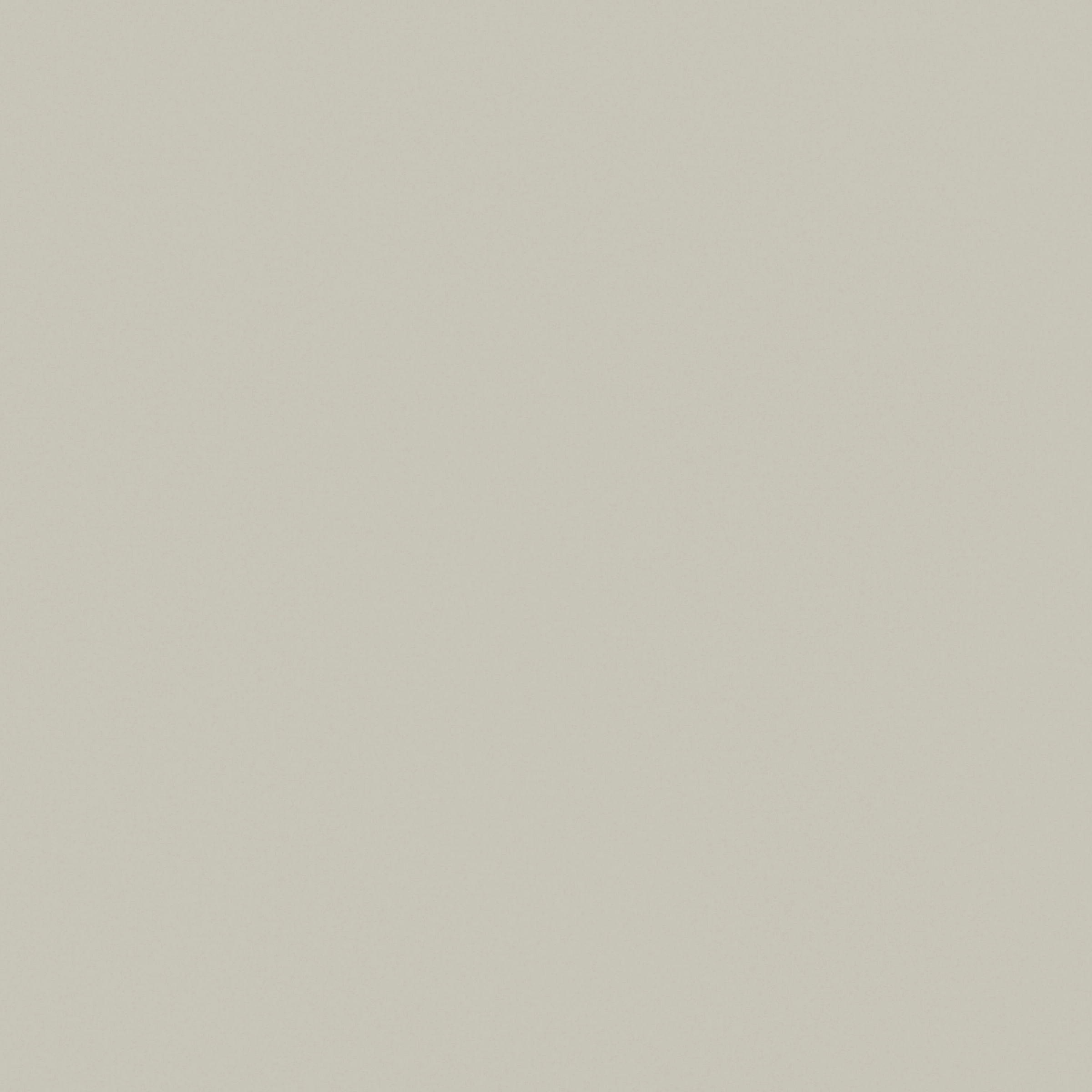 product thumbnail U50_Platingrau.jpg