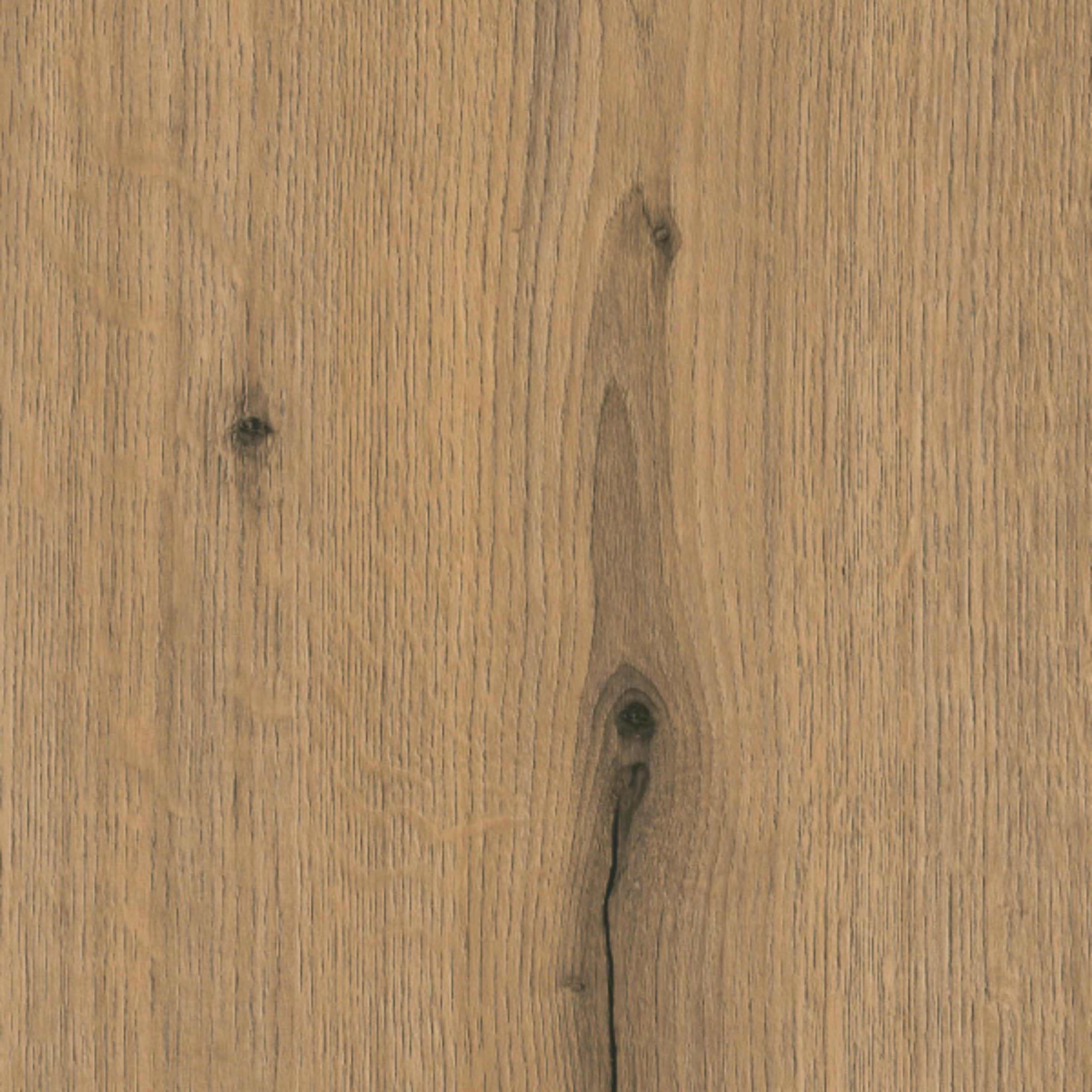 product thumbnail NK26452_ED9___Vulkaneiche.jpg