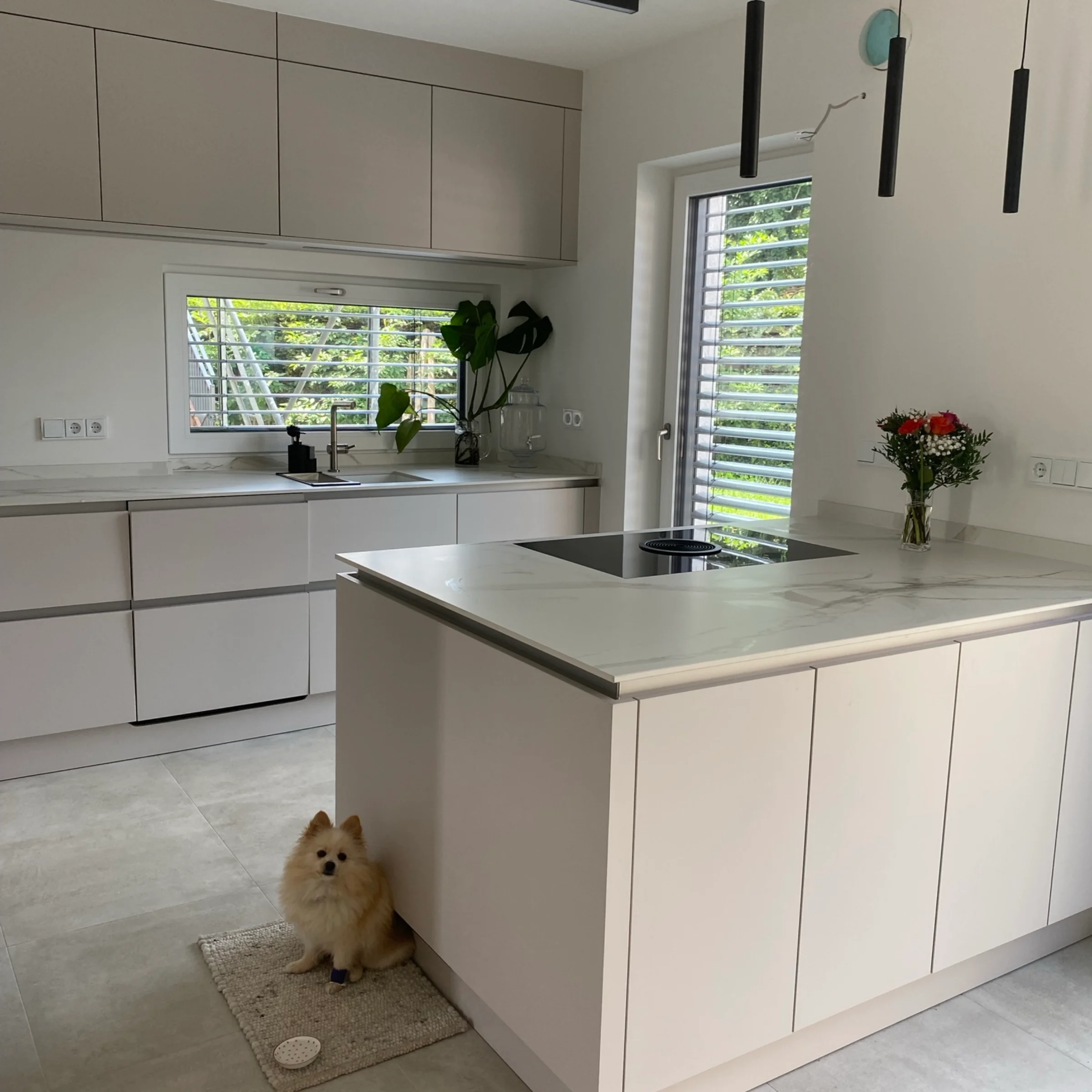 Nowoczesna kuchnia z wyspą i małym psem, Nolte Küchen.