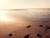 product image Nolte_Kuechen_Nische_Beach_BEA.jpg