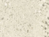 product image Z21_Terrazzo_Bianco.jpg