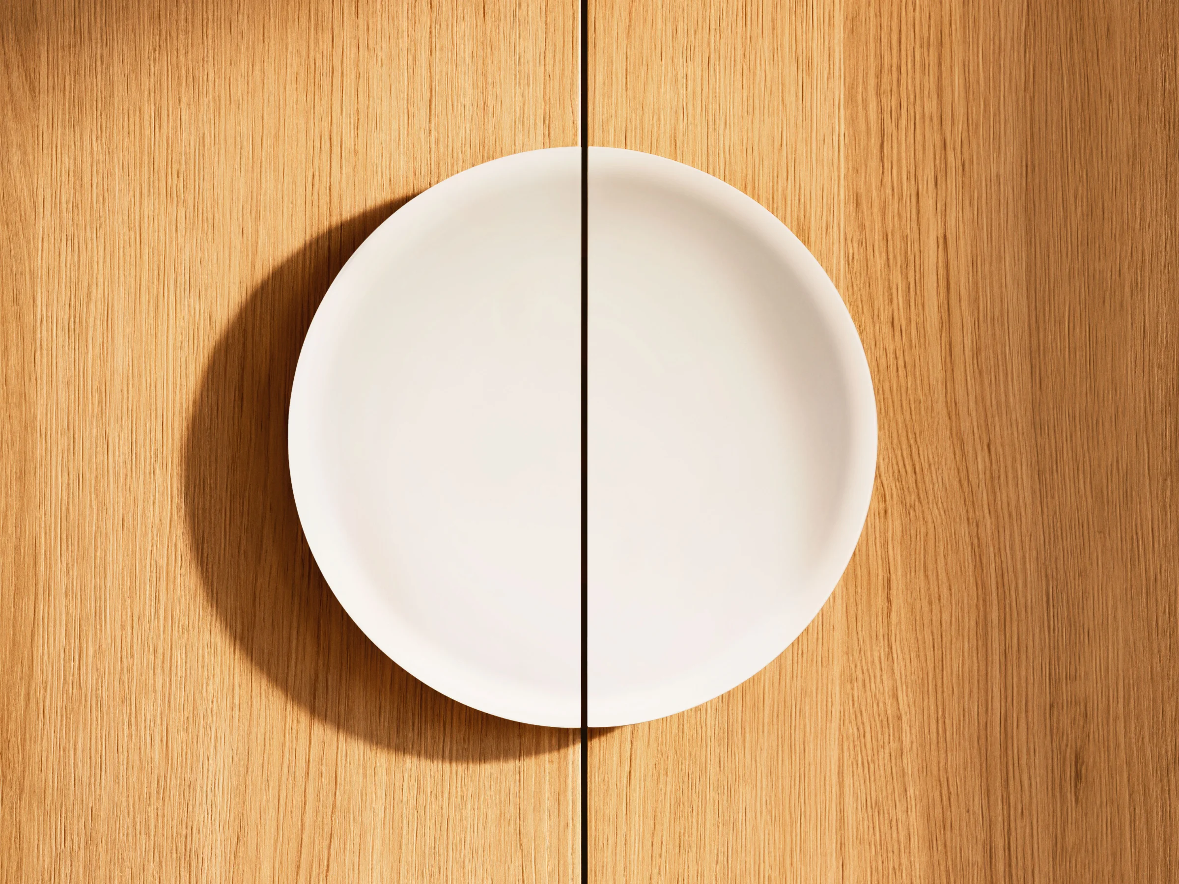 Ein weißer Teller hängt an einer Holzwand als dekoratives Element.