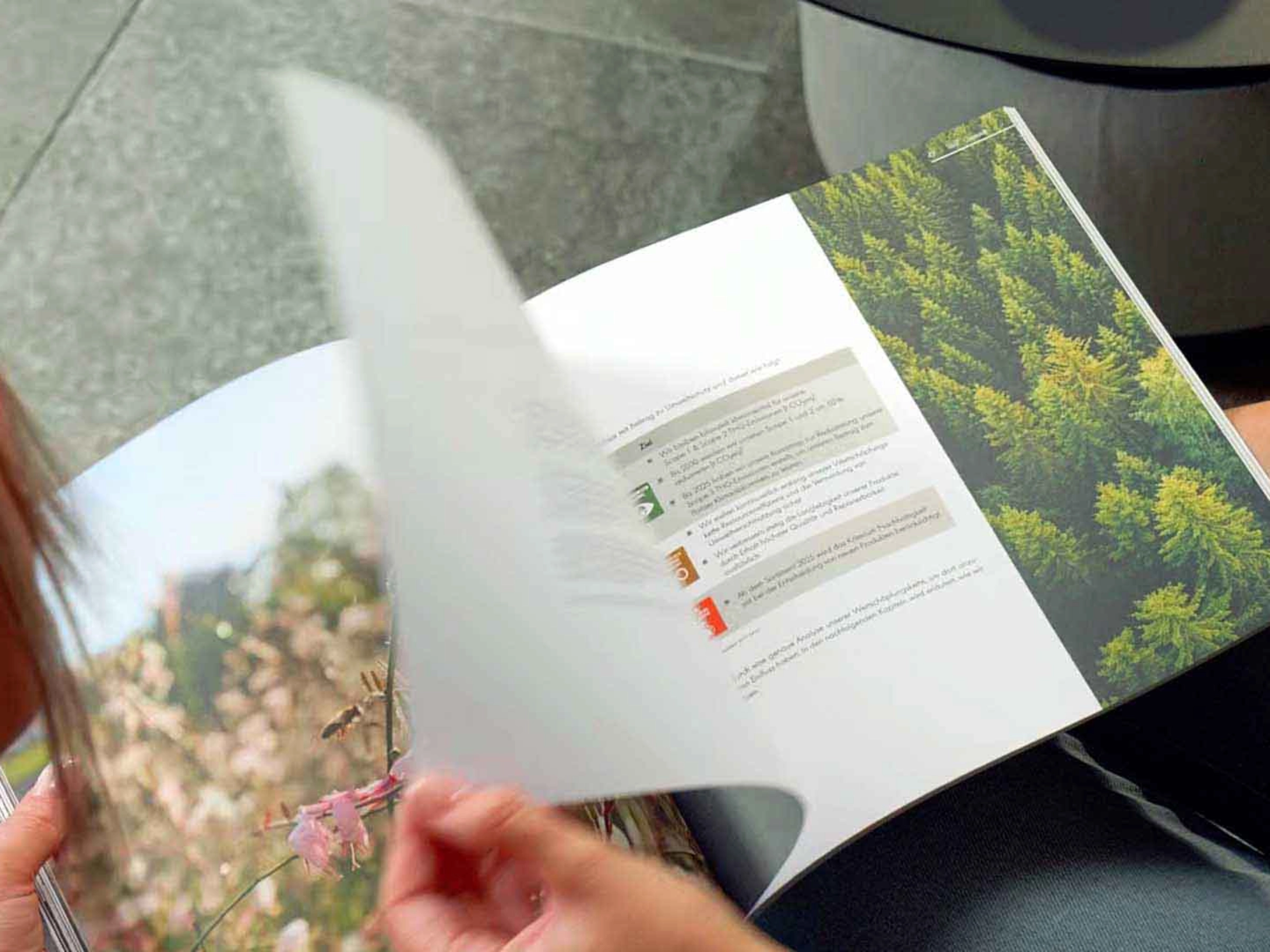 Deux personnes feuillettent un magazine de photos nature, assises sur un canapé gris. Nolte Kitchen.