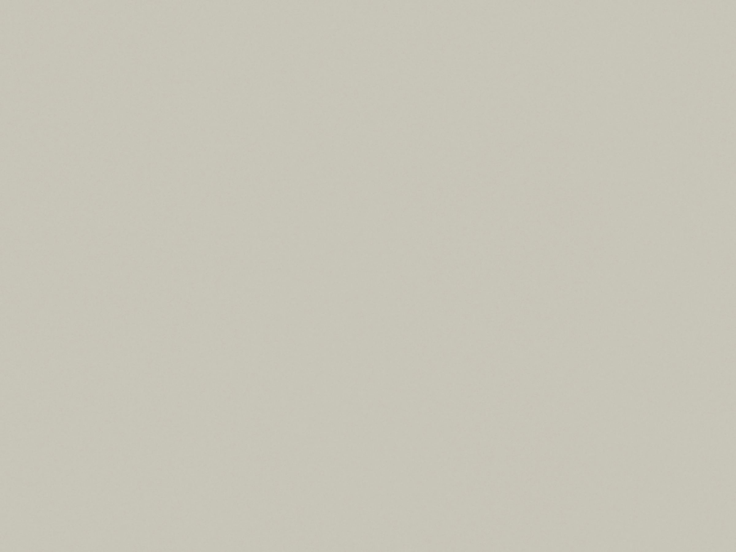 product image U50_Platingrau.jpg