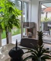 Un salon avec de grandes fenêtres, des plantes et une table. Nolte Living.