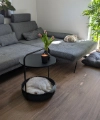 Un canapé gris avec une table ronde et des tulipes, un chien dort à côté. Nolte Living.