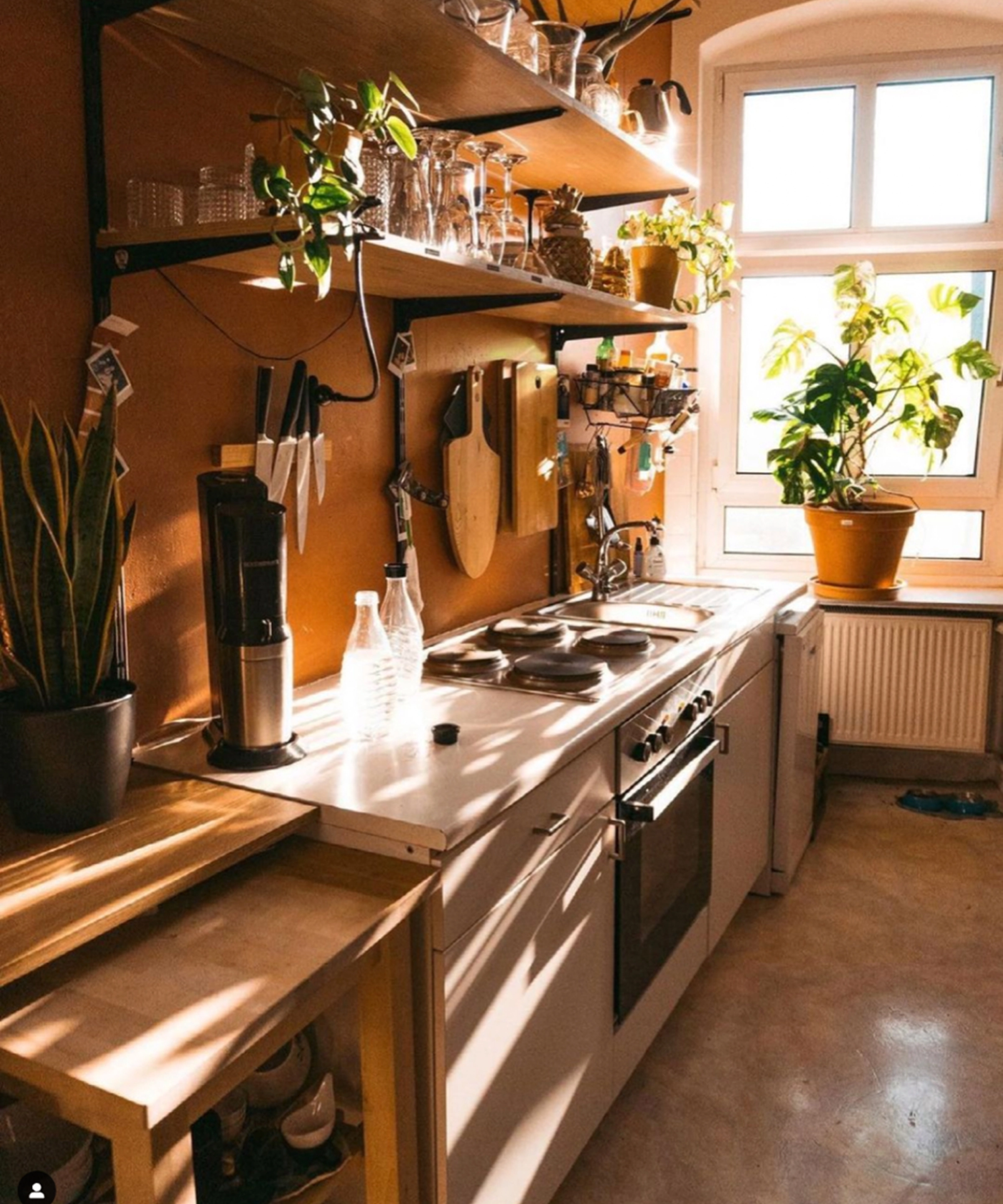 Une cuisine ensoleillée avec des plantes et des appareils modernes. Nolte Kitchen.