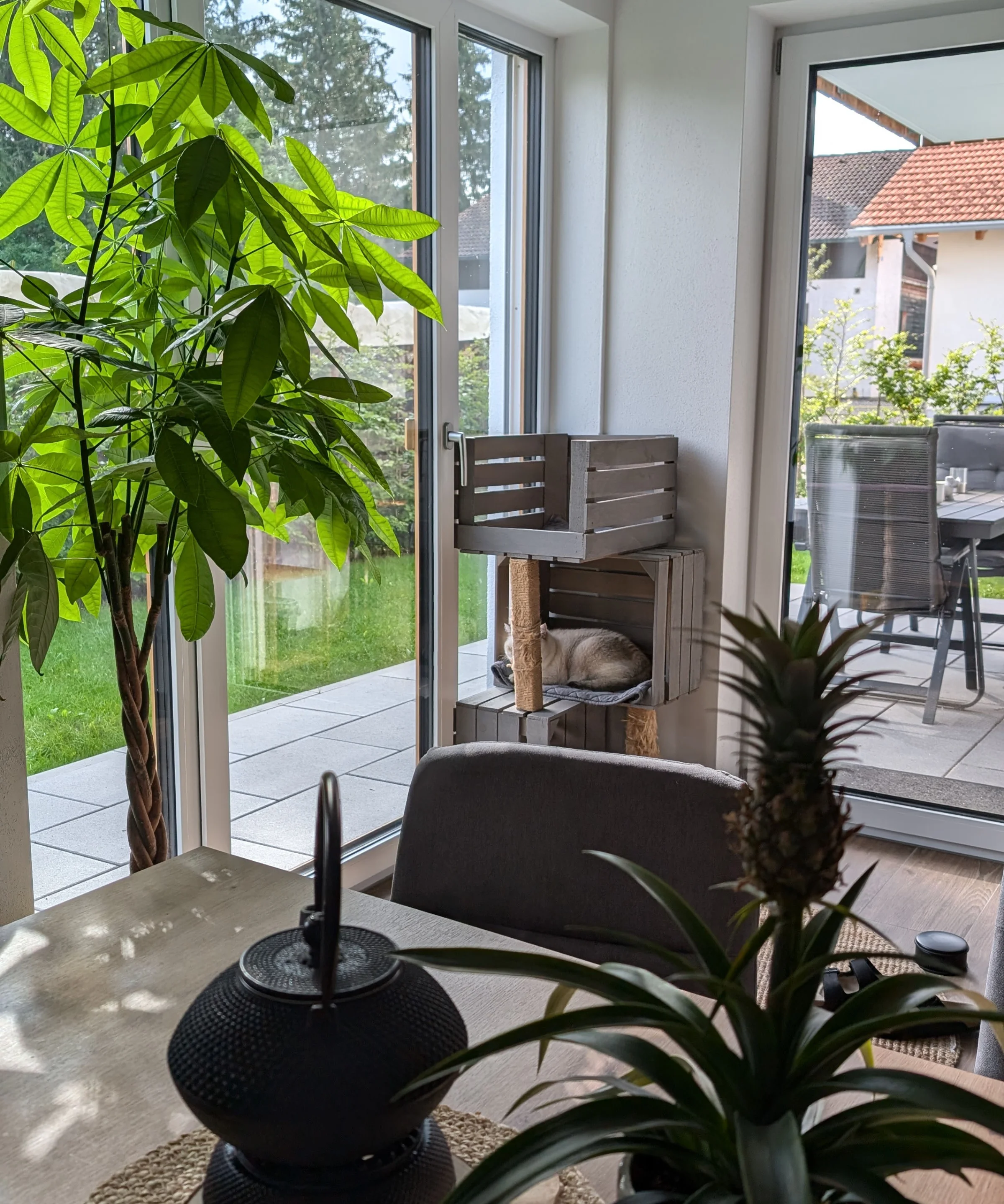 Ein Wohnzimmer mit großen Fenstern, Pflanzen und einem Tisch. Nolte Living.