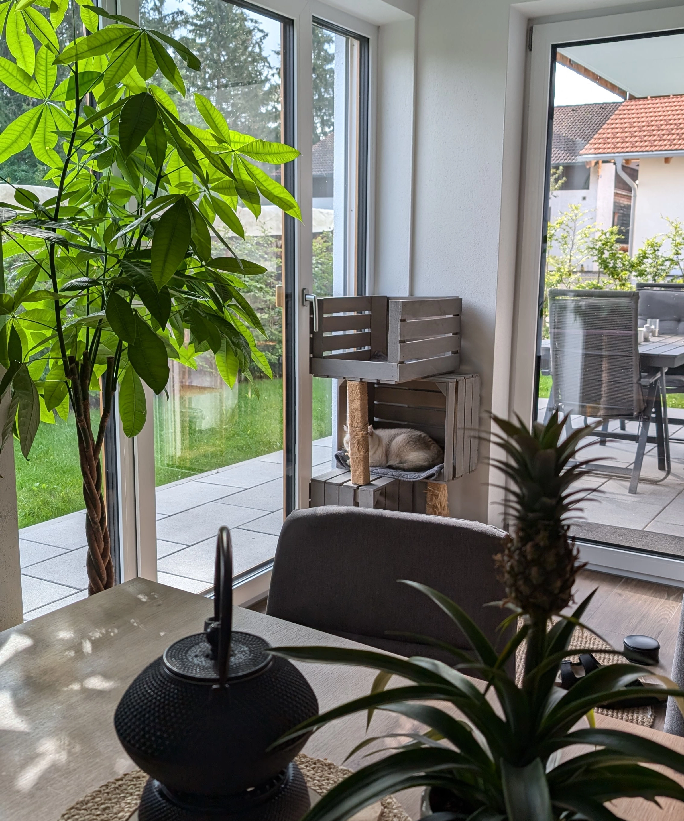 Un salon avec de grandes fenêtres, des plantes et une table. Nolte Living.
