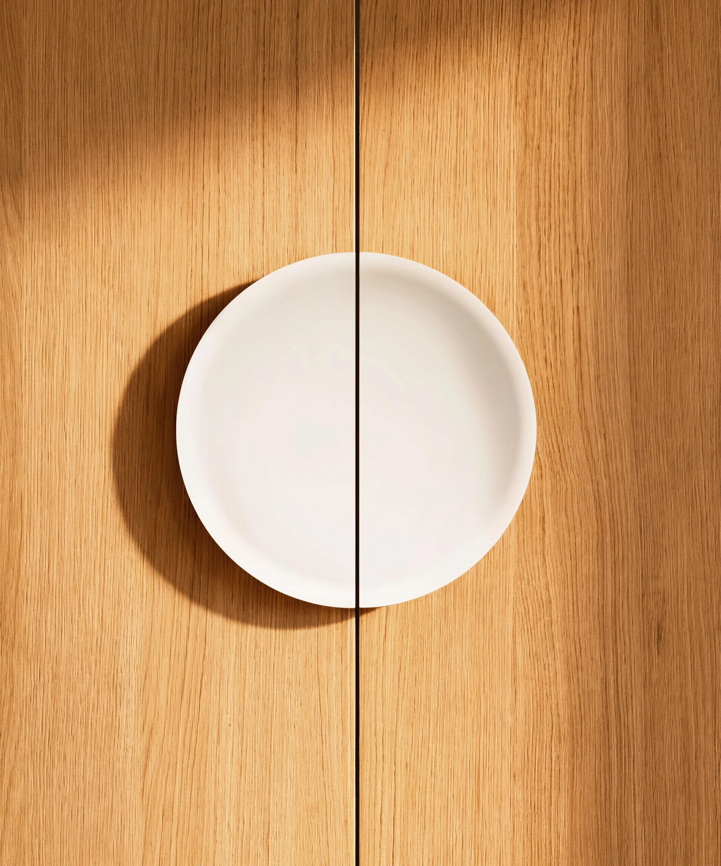 Ein weißer Teller hängt an einer Holzwand als dekoratives Element.